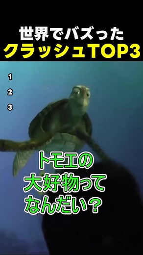 世界でバズったクラッシュ｜タートルトークおもしろ集