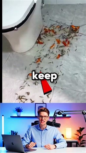 POV: You Just Watched the Worst "Fish Habitat" Upgrade