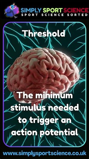 Sports Science: #Threshold #physiology #gcsepe #ibsehs #revision #sportsscience