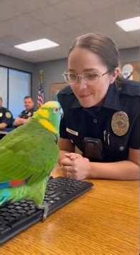 “Fresh Disappointment” 😂🦜 Funniest Parrot Roasts EVER!