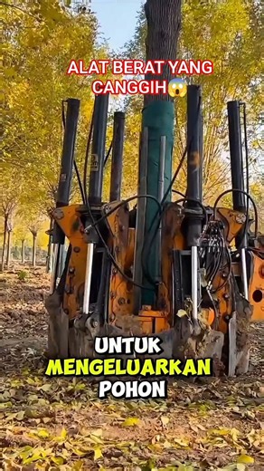 alat berat jenis eskapator #dancehall #alatberat #luarnegeri #petani #canggih