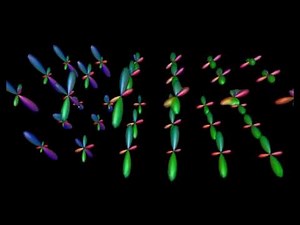 Fiber orientation distribution functions