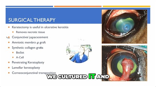 Eye Surgery: Conjunctival Graft & Ulcer Treatment Explained