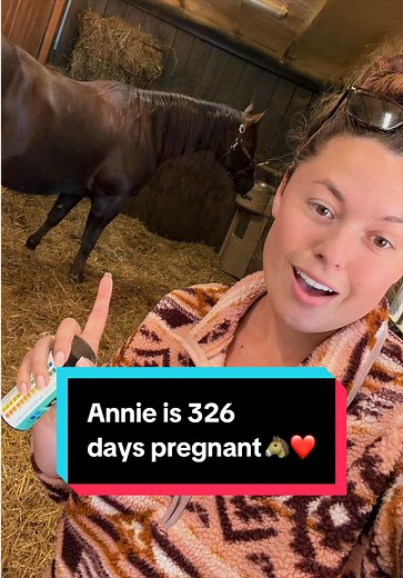 Annie está 326 días embarazada: Historial y Actualizaciones