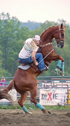 That’s a lot of horsepower 😶 @canonusa #western #rodeo #rodeophotography #rodeophotographer #barrelracer #barrelracing #barrelhorse #cowgirl