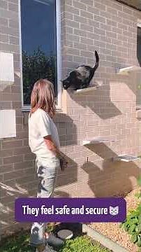 Create an enriching outdoor experience for your cat