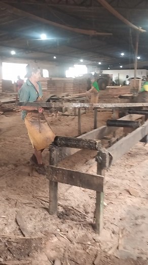 Lumberyard Work: Wood Processing and Sorting Techniques