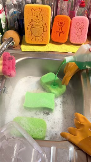 DIY Green Cleaning: Fakerinse to Rinse Cycle