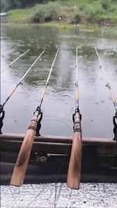 Cuaca Hujan Ikan Tidak Mau Makan #shorts #fishing