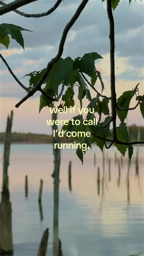 #singersongwriter #indiemusic #love #heartbreak #straycurrents