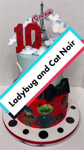 Ladybug and Cat Noir Birthday Cake Ideas