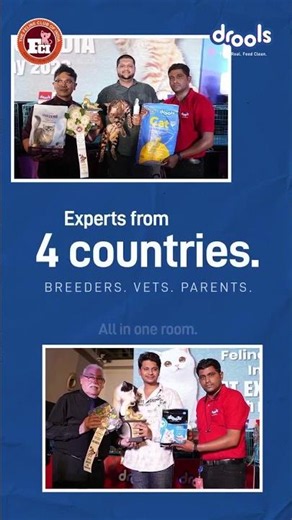 A glimpse into the purr-fect celebration of India's feline community. #drools #pets #cat #shorts