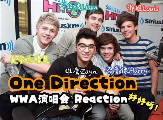 【One Direction】WWA演唱会reaction(上) 一个8年后才入坑的伪路人真歌迷