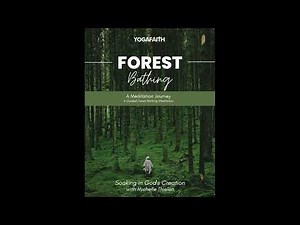 A Guided Forest Bathing Meditation with Michelle Thielen