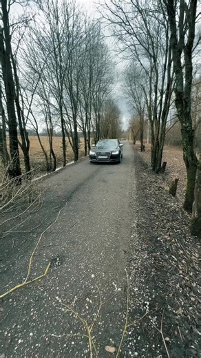 Женщина, когда ей что-то нужно - коня на скаку остановит, в горящую избу войдет и дерево с дороги отодвинет. Так ведь? Я просто опаздывала на вокал ♥️ #певица #вокал #дерево #жизнь #альбом #запись