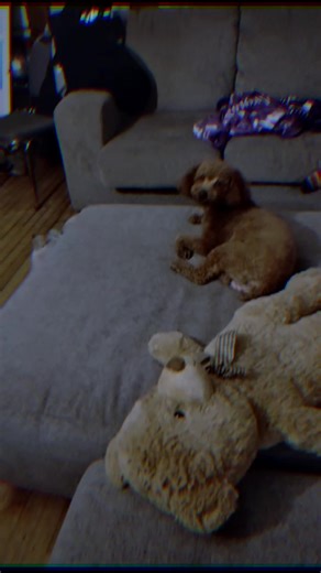 Skill Set 21 # martialarts