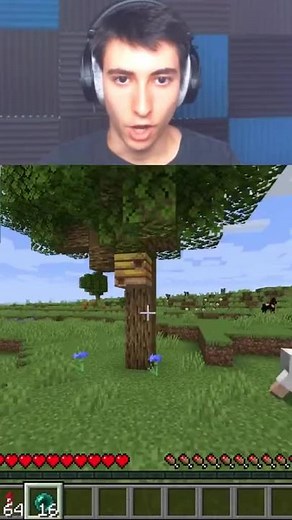 Exploring a Beehive in Minecraft