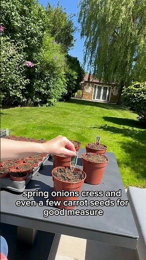 Create an ultra-affordable herb garden with @atthewillowtree 🪴 #Howto #BandQ #Verve