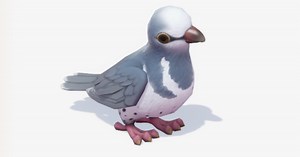 Heartopia Wonga Pigeon location