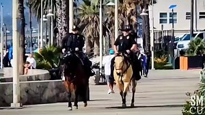 2.4K views · 260 reactions | Santa Monica Mounted Police Officers ride along Ocean Front Walk on Friday, January 21, 2022. ‍♂️  @fabianlewkowicz | Santa Monica Close-up | Facebook