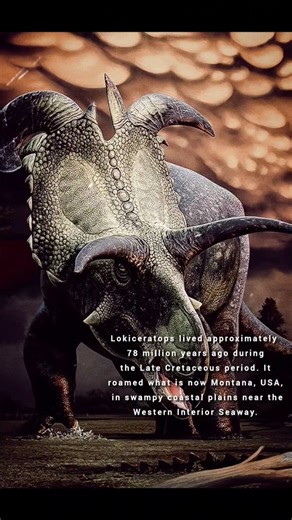 Did You Guys Know There's a Loki Dinosaur? ( Lokiceratops Trickster Dino ) #prehistoriclife #loki