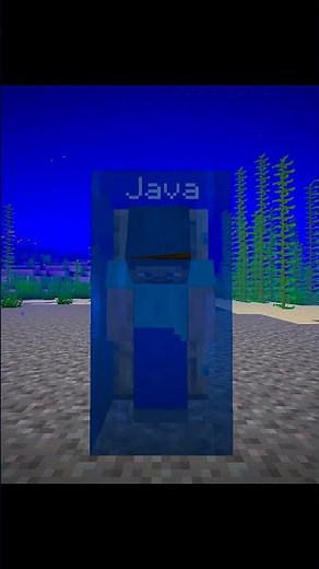 java vs bedrock door 🚪 in Minecraft 💪