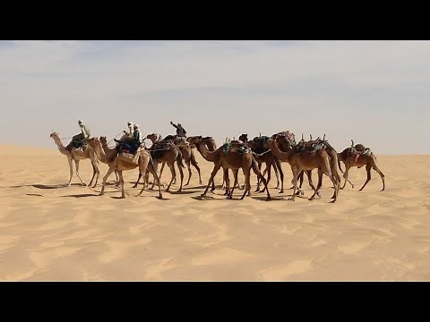 Chad- 9 Interesting Facts | Country Facts