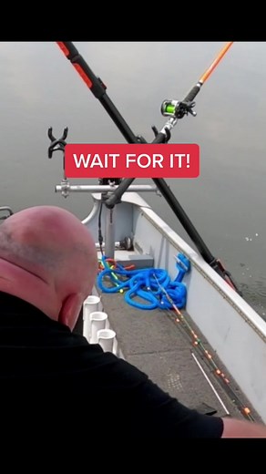 #catfishing #fishing #fishingtiktoks #flatheadcatfish #channelcatfish #fishinglife #fypシ