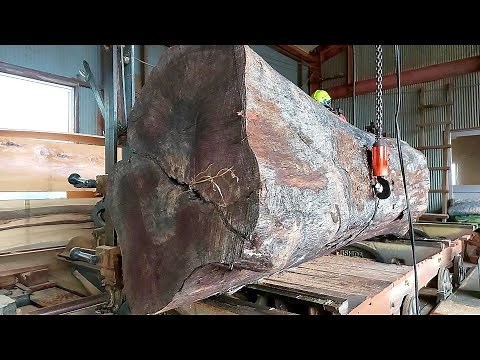#107 Cut down the huge red oak tree!! The bandsaw screams!! Gorgeous peony pattern in the center!!