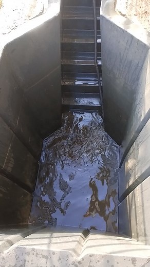 Step-by-Step Goat Plunge Dipping: Proper Farm Animal Care