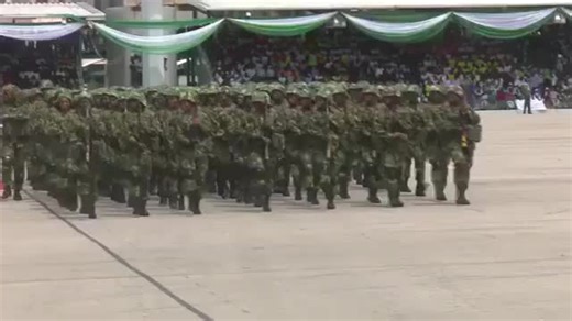 Nigerian Female Combatants in the Military