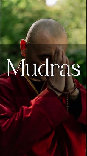 ✨ MUDRA ✨ Explore the ancient art of Buddhist hand gestures!