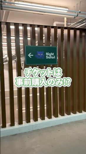 【シンガポール旅行注意⚠️】ナイトサファリは当日買えない!? チケットは必ず事前購入必須！