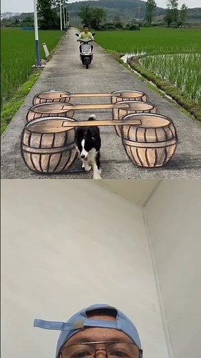 How Did This 3D Dog Trick Everyone? 🐶✨