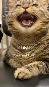 She would never… | Aymie Herman And Family