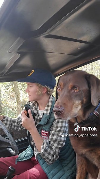 70s Costume Ideas for Halloween: Fred the Dog from Smokey and the Bandit