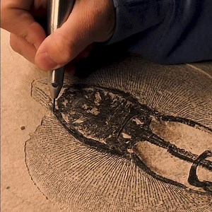 This year has been nothing short of exciting—full of hope, hard lessons, and real momentum. As we look ahead to 2026, the path is finally clear. We’re proud to share that we’ve officially hired two new guides with backgrounds in geoscience and geology, each bringing the same passion for paleontology that drives everything we do. (Official introductions coming soon 👀) Today also marks a milestone. After 40 videos, this is the final reveal of our Heliobatis radians—a stunning freshwater stingray 