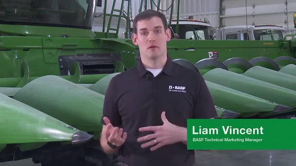 Pigweed eradication is about playing “The Long Game.” Learn more about the building blocks for establishing a weed-free future in episode 4 of our “Pigweed Eradication 101” series. | BASF Agricultural Solutions