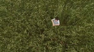 АВГУСТ РАШ _ August Rush (2007)(354_P).mp4