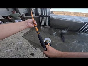 Fishing monsters fish at Cordell hull dam Carthage TN