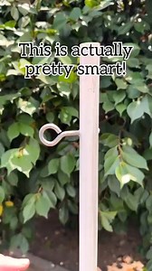 504K views · 2.4K reactions | Smart garden invention 華 Gardening hack to trim tall plants, hedges and trees! #gardening #trees #hedge This original video was produced by Network Media, LLC and Jeff & Lauren Productions. | Home Hacks & Easy Snacks | Facebook