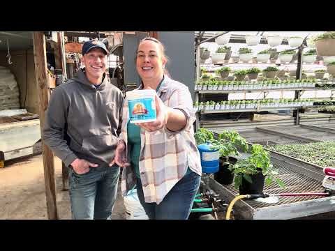 The Easiest Way to Fertilize Lots of Plants (Fertilizer Injector) Live from the Greenhouse series