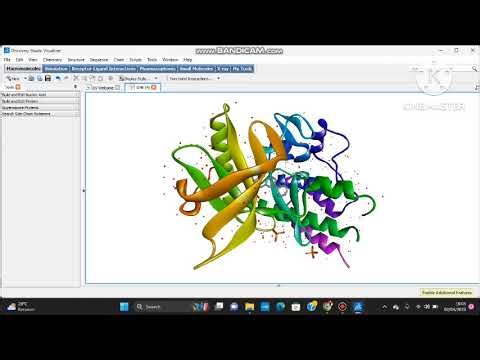 Cara molekuler docking menggunakan aplikasi Biovia DSV