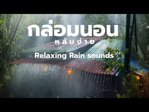 Live เสียงฝนตก นอนหลับสบาย ผ่อนคลายสมอง | Rain Sounds | Relaxation| Meditation