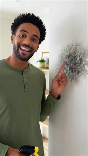 Effective Mold Removal Solutions for Your Bathroom