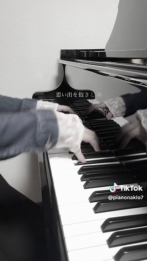 嵐 / season 嵐の名曲season！ 聴くだけで涙が出できそうなほどにいい曲すぎる…😭✨ 嵐って名曲ばっかりだけど、その中でもこれは大好きな1曲！！ #arashi #嵐#嵐season 嵐#嵐ファンと繋がりたいあらしっくと繋がりたい #ピアノ #ピアノカバー #心に響く曲 #癒しの音楽 #piano #pianist #pianocover