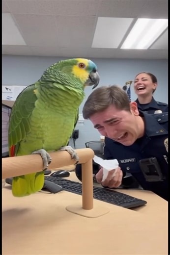 The Parrot DESTROYS the Cop’s Ego 😂🦜 | Mr.Scarlet Macaw