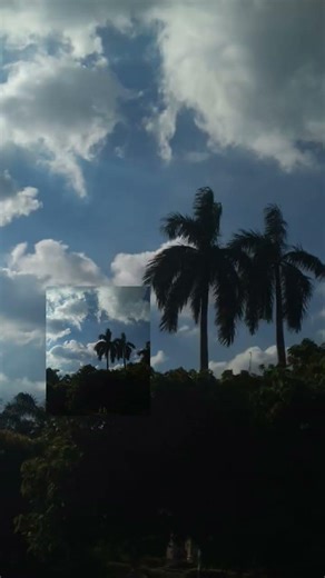 romantic weather ☁️ #bollywood #music #gerua #arijitsingh #hindisong