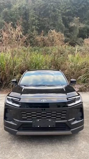 Toyota's China-Only SUV Revealed: 2026 Wildlander Breakdown.