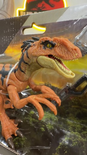 REBIRTH’S RAREST! The last few Jurassic World Rebirth toys slated for this year have been proving to be hard to find, including this Duncan Kincaid & Velociraptor Story Pack. I scored this one from my bud @tom_jurassic when they were still available from @smythstoys. Should I open it up? #collectjurassic #matteljurassicworld #jurassicworld #jurassicpark #jurassicworldsurvival #jurassicparksurvival #jurassicworldrebirth #mattel #toys #toynews #toycollector #hammondcollection #chaostheory | Collec